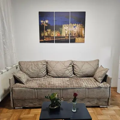 a living room with a couch and a picture on the wall at ONLY 4 YOU apartment in Niš