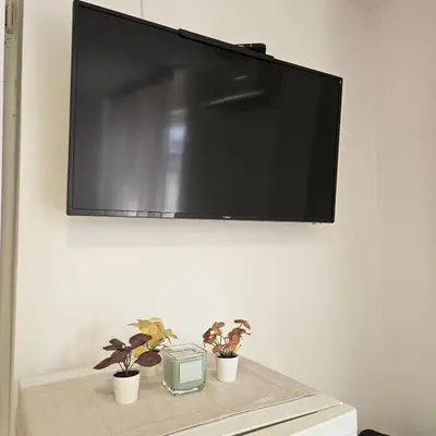 a flat screen tv hanging on a wall with two plants at ONLY 4 YOU apartment in Niš