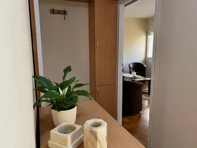 a room with a table with a potted plant on it at Apartman NANA in Ćuprija