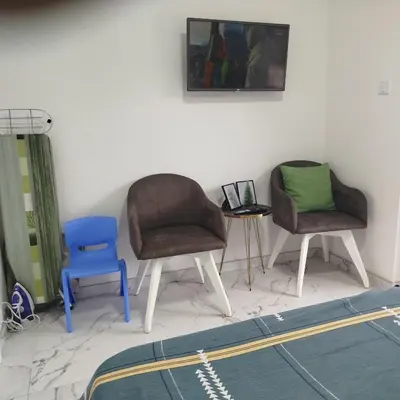 two chairs and a blue chair in a room at SokoSTAR Apartman in Soko Banja