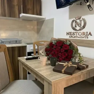 Apartman Nestoria Sokobanja