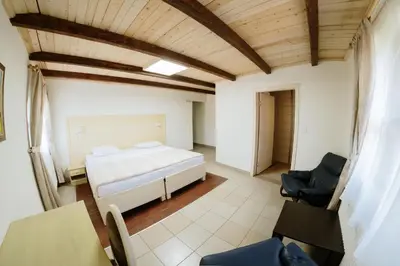 a bedroom with a bed and a table and chairs at Etno hotel Balasevic Rtanj in Boljevac