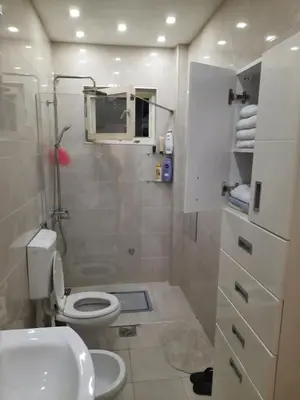 a bathroom with a toilet and a shower and a sink at Center Apartment in Niš