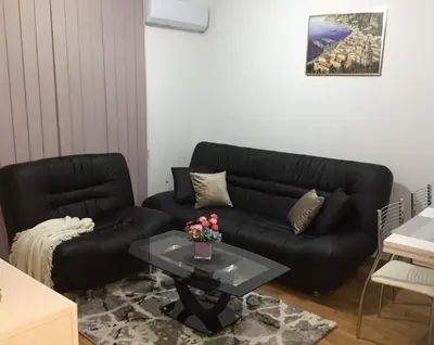 a living room with a black couch and a table at Park app in Vrnjačka Banja