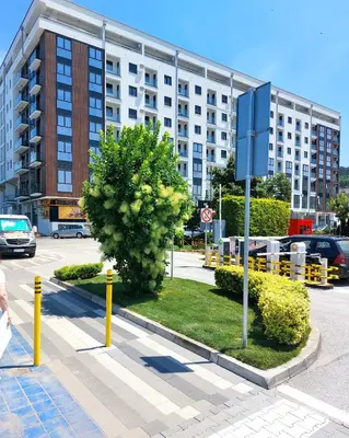 a building with a tree in a parking lot at Jagodina apartman MM AKVA PARK free garaža in Jagodina