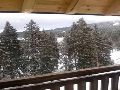 a view of snow covered trees from a balcony at Visnja Apartment in Kopaonik