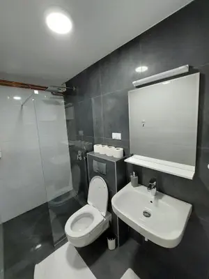 a bathroom with a white toilet and a sink at Vrnjci House in Vrnjačka Banja