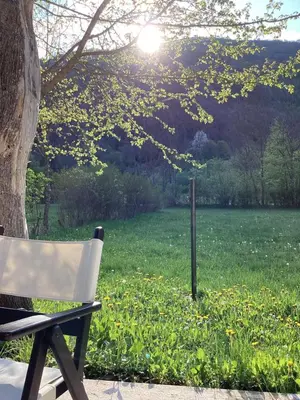 a white chair sitting under a tree next to a field at Villa Anja in Pirot