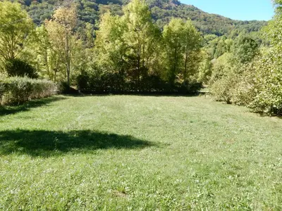 a large field of grass with trees and a shadow at Villa Anja in Pirot