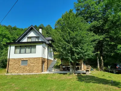 a house with a tree in front of it at Villa Anja in Pirot