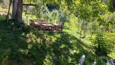a wooden table and chairs on a hill with a tree at Nacionalna kuca Krstojevic in Raška