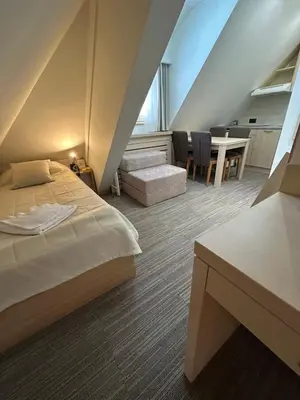 a bedroom with a bed and a table and chairs at Pahulja in Kopaonik