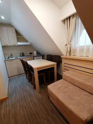 a small room with a table and a kitchen at Pahulja in Kopaonik