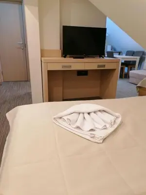 a hotel room with a towel on a bed at Pahulja in Kopaonik