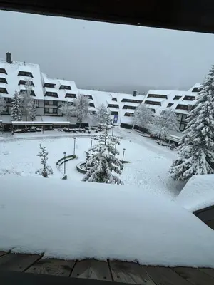 a snow covered yard with trees and a building at Pahulja in Kopaonik
