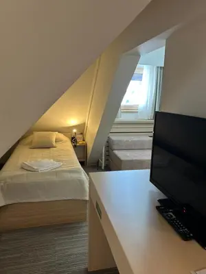 a bedroom with a bed and a tv in a room at Pahulja in Kopaonik