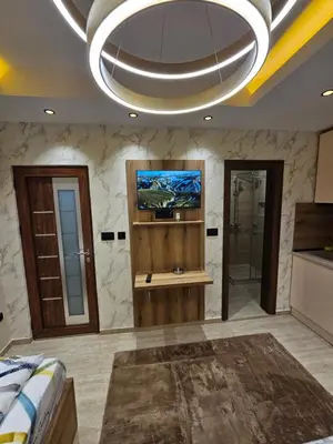 a large bathroom with a television and a bed at Ebra 75 Kraljevi Cardaci Kopaonik in Kopaonik