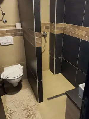 a bathroom with a shower with a toilet and a sink at Milmari M9 in Kopaonik