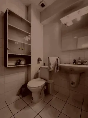 a white bathroom with a toilet and a sink at Prelepa prostrana kuća in Šipačina