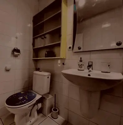 a bathroom with a toilet and a sink at Prelepa prostrana kuća in Šipačina