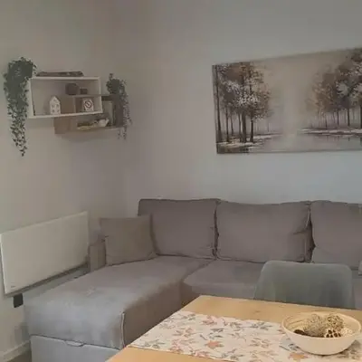 Lawa Apartments Kopaonik