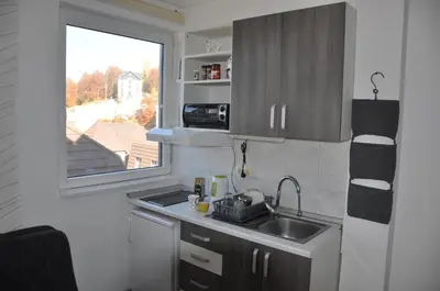 a small kitchen with a sink and a window at Studio SimpaKop in Kopaonik