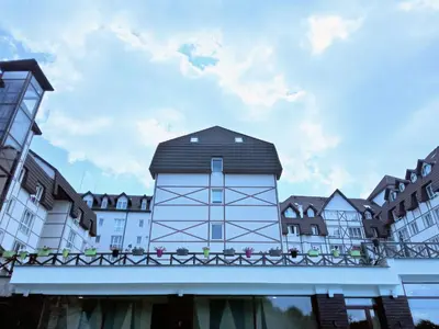 a building with a black roof on top at Studio SimpaKop in Kopaonik