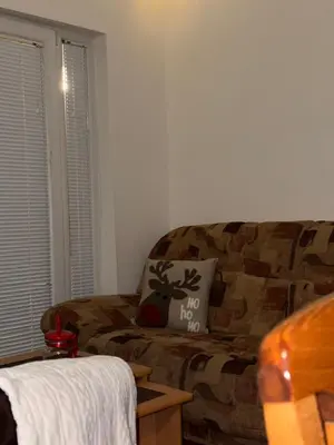 a living room with a couch with a no hog pillow at Apartmani Čardaci Kopaonik in Kopaonik