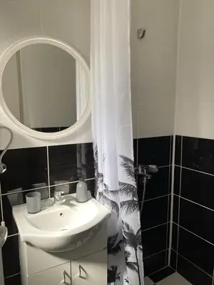 a bathroom with a sink and a mirror at Studio Zverko in Soko Banja