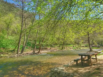 a picnic table sitting next to a river at Studio Zverko in Soko Banja
