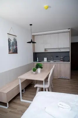 a kitchen with a table and chairs in a room at Residence Hill A037 Apartment in Kopaonik