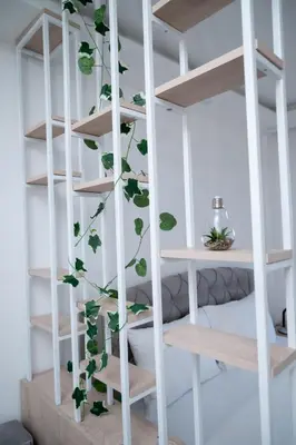 a ladder with a plant growing out of it at Residence Hill A037 Apartment in Kopaonik