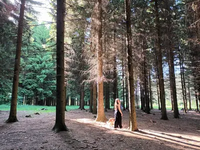 a woman walking a dog in the woods at Vila Aleksandra 2 Studio 2 in Soko Banja