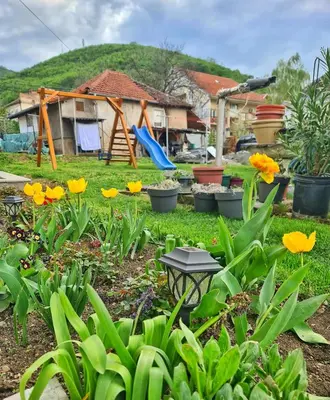 a garden with yellow flowers and a playground at Vila Aleksandra 2 Apartman 1 in Soko Banja
