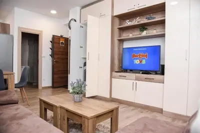 a living room with a tv and a table at Vila Montana, Kopaonik, Apartman Ivony in Kopaonik