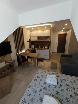 a living room with a couch and a table at Kopaonik - Milmari resort S66 in Kopaonik