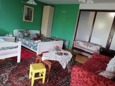 a living room with green walls and a table and chairs at Vila Seoska idila in Izvor