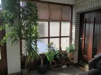 a room with a window with a bunch of plants at Vila Seoska idila in Izvor
