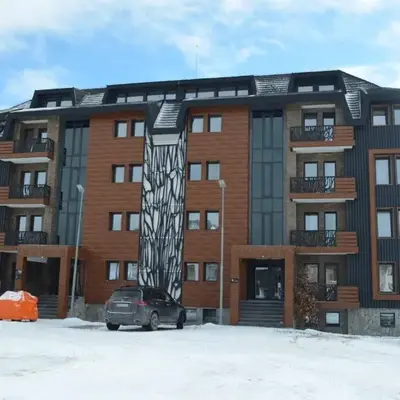 Vila Golija VM Apartment