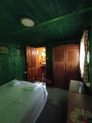 a bedroom with a bed in a green room at Drvenica Cabin in Kopaonik