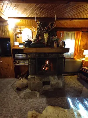 a living room with a fireplace in a house at Drvenica Cabin in Kopaonik