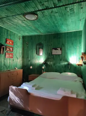a bedroom with a bed and a green wall at Drvenica Cabin in Kopaonik
