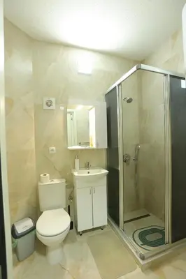 a bathroom with a toilet and a shower and a sink at Ivan's guesthouse in Paraćin