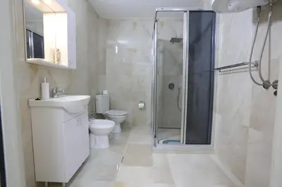 a bathroom with a shower and a toilet and a sink at Ivan's guesthouse in Paraćin
