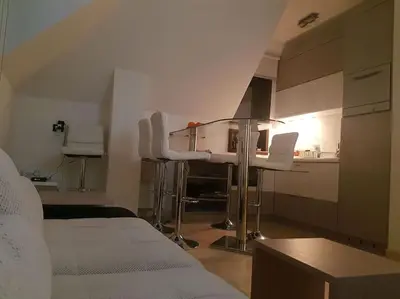Gallery image of Vila Pahulja A10 in Kopaonik