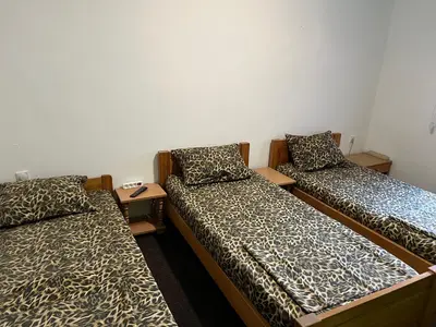 a room with two beds in a room at Slobo Velickovic in Čerkeška Mala