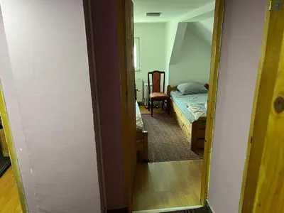 a room with a bedroom with a bed and a mirror at Slobo Velickovic in Čerkeška Mala