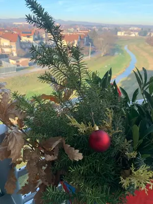 a christmas tree with a red ball on top of it at Sofija lux in Jagodina
