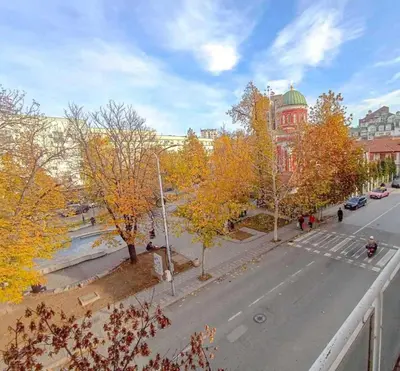 a view of a street with trees and a building at Fontana in Kruševac