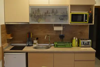 a kitchen counter with a sink and a microwave at Apartman S32 Milmari in Raška